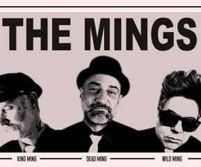 The MINGS (EU/Brazil)